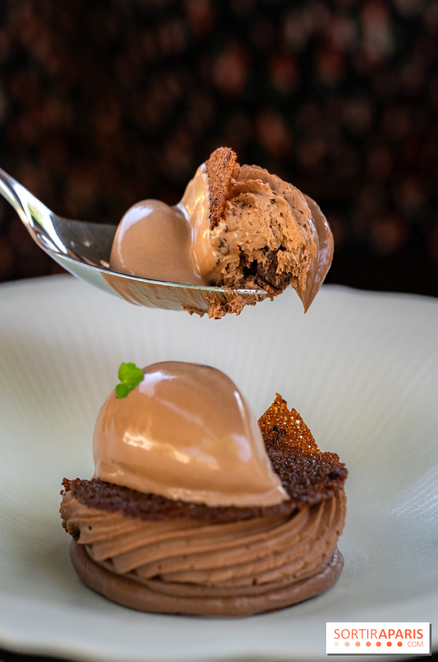 Restaurant Papylles à Bois-le-Roi - les photos - Le chocolat 66% Nicolas Berger En texture et en crémeux, praliné au grué de cacao, sorbet chocolat