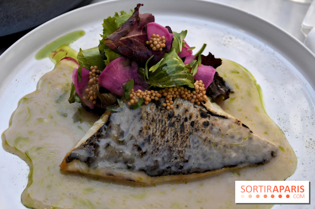 Felini, le bistro franco-italien gourmand du côté de Saint-Georges à Paris - IMG 2100