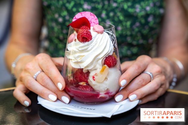 Les glaces et coupes glacées de Pierre Hermé pour l'été  - A7C04944