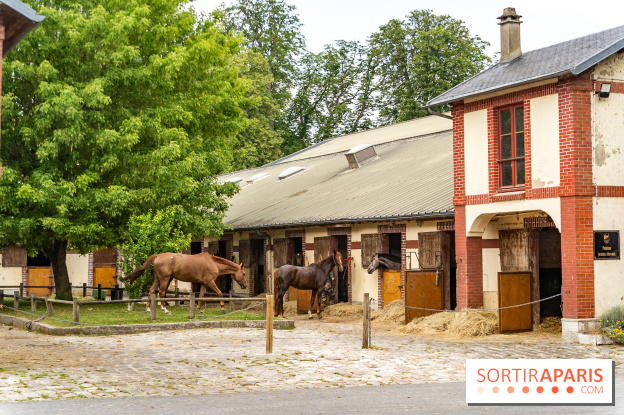 Visite guidée de l'École Mlitaire d'Équitation