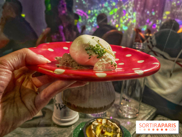 Wonderwoods - IMG 3707