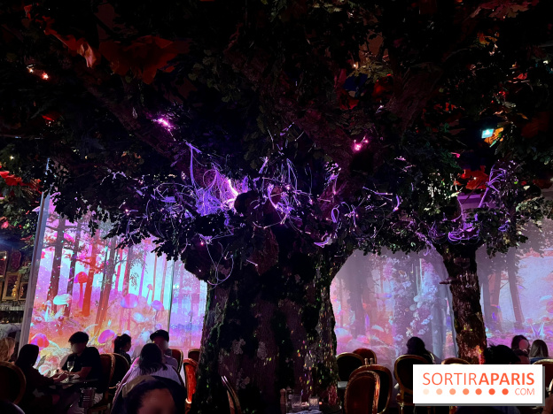 Wonderwoods