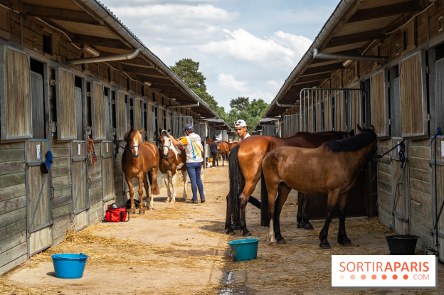 Le Grand Parquet Fontainebleau - photos  - A7C02567