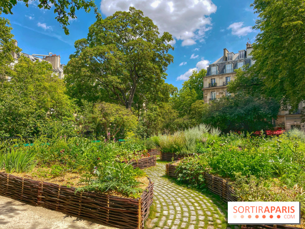 Jardin Médiéval du Musée de Cluny - IMG 3877