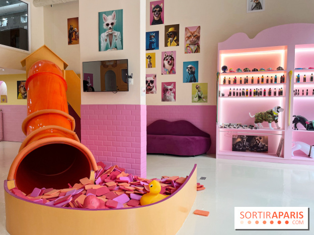 Patapwouf, le spot cani-friendly de Saint-Ouen - nos photos - A20E0070 2D50 49D7 8DC4 7B247EC53339