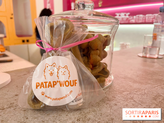 Patapwouf, le spot cani-friendly de Saint-Ouen - nos photos - CBA74623 0EBE 44FA 9FFF 1E1D19587CD5