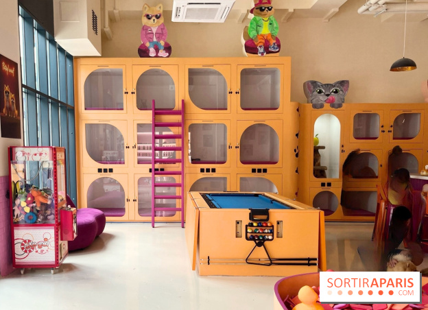 Patapwouf, le spot cani-friendly de Saint-Ouen - nos photos - E7F868A7 A82B 4EE0 8E78 092C9C69CFA4