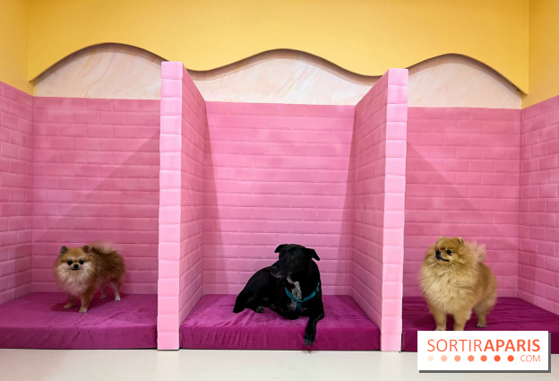 Patapwouf, le spot cani-friendly de Saint-Ouen - nos photos - EFD876A8 E455 49B4 A85E 02B255FF5AC9