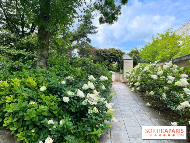 Square Eugénie Djendi - nos photos - 27729B0F A44E 4F1C B37B 417BAD0CEA02