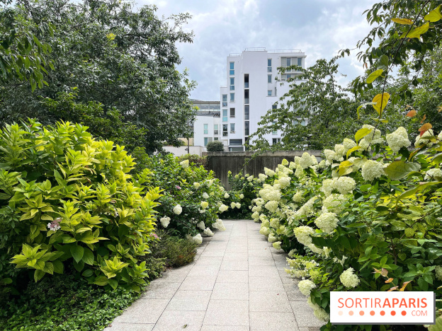 Square Eugénie Djendi - nos photos - 4730EF26 B235 4FFF 8071 C37EB3899BA6