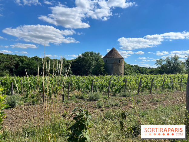 Paris-Rambouillet à pied - nos photos - 50F1D405 06A3 4B1F B8FC CD3BDB65BAC0