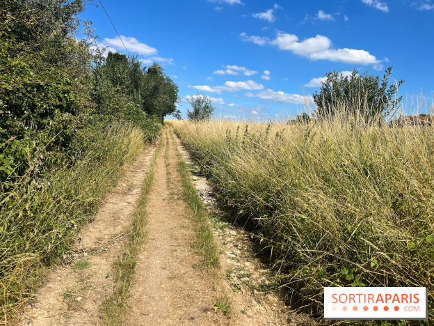 Paris-Rambouillet à pied - nos photos - DF4FD716 169E 424A 938E 9B3E81624D76