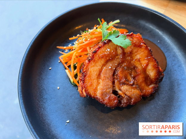 Shuzo - Chashu-Chicharron