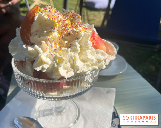 La guinguette des Bords de Marne - nos photos - 332B7959 DA91 4BF4 AF31 3234D94F8CBF