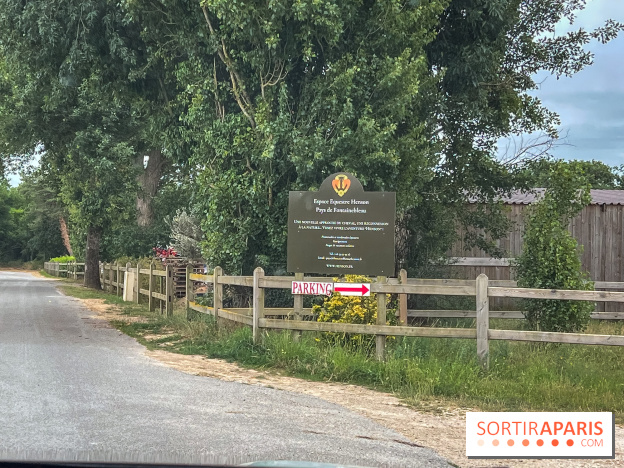 Balade en chevaux Henson en forêt de Fontainebleau  - IMG 1986