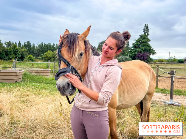 Balade en chevaux Henson en forêt de Fontainebleau