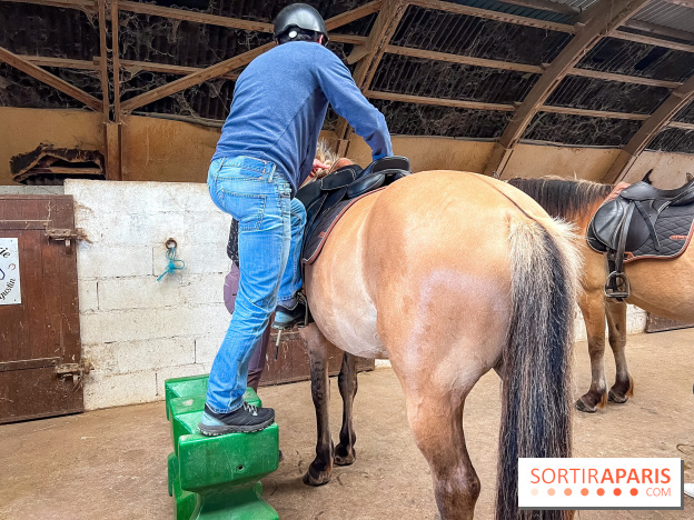 Balade en chevaux Henson en forêt de Fontainebleau  - IMG 2025