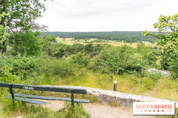 L'Hippodrome de la Solle à Fontainebleau - photos - A7C02778