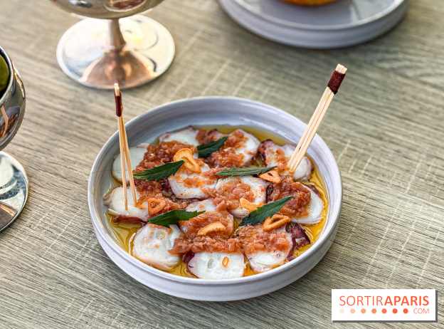 Bar Les Ombres : cocktails & tapas sur le rooftop du Musée du Quai Branly avec vue sur la tour Eiffel - IMG 8117