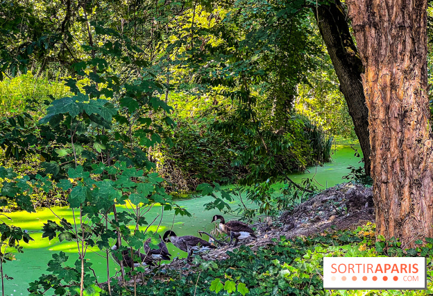 Parc de la Roseraie à Chatenay Malabry (92) : 8 hectares de verdure classés Monument Historique