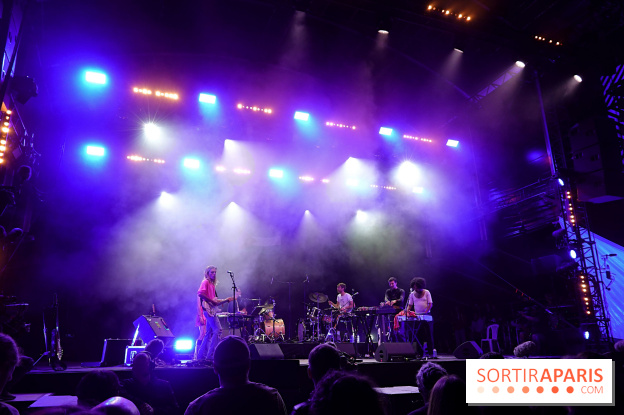 Rock en Seine 2025 - The Psychotic Monks