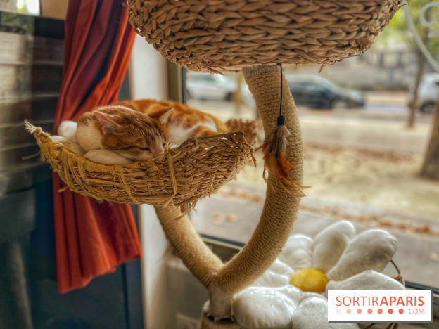 Chat-Rivari Café