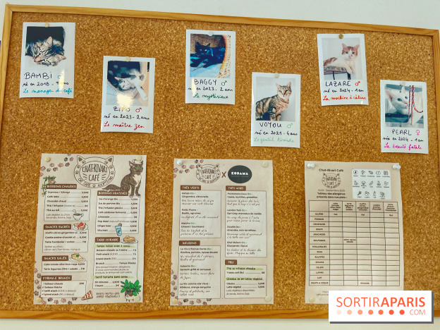 Chat-Rivari Café