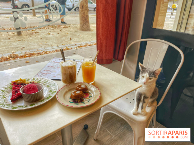 Chat-Rivari Café