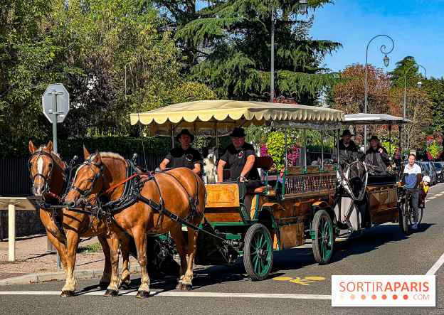 Tous en piste ! à Maisons-Laffitte (78): poneys, calèche et spectacles équestres gratuits au château