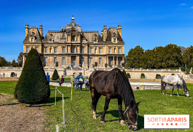 Tous en piste ! à Maisons-Laffitte (78): poneys, calèche et spectacles équestres gratuits au château
