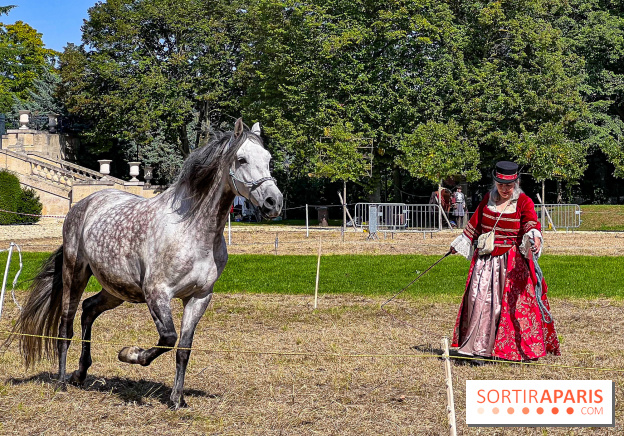Tous en piste ! à Maisons-Laffitte (78): poneys, calèche et spectacles équestres gratuits au château