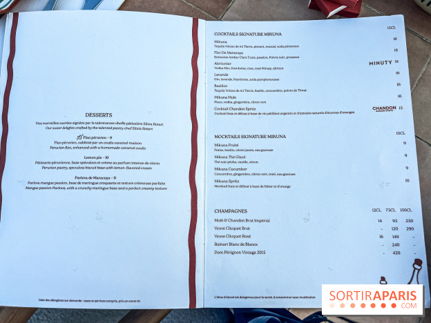 Terraza Mikuna : le rooftop du BHV Marais - IMG 3548