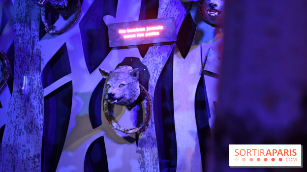 Fables Immersives : les fables de la Fontaine prennent vie à deux pas des Champs-Elysées - DSC 4947 Fotor