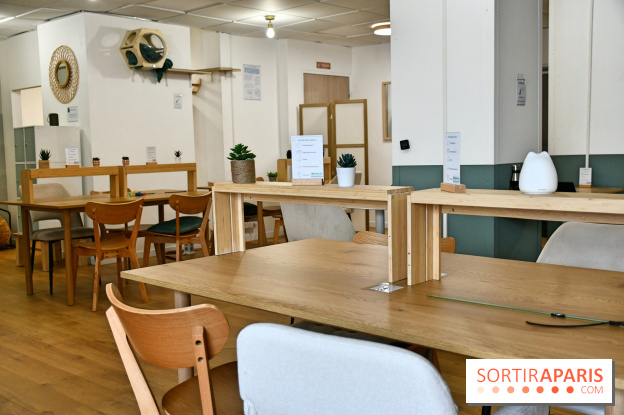 Koneko Work : le café coworking pour travailler en compagnie des chats - DSC 5240