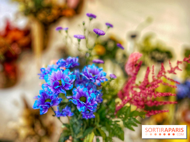 Les filles d'à côté - IMG 5229