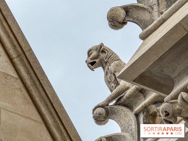 Visite des tours de Notre-Dame de Paris