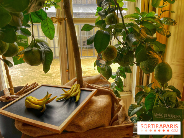 L'art des parfumeurs - IMG 5548