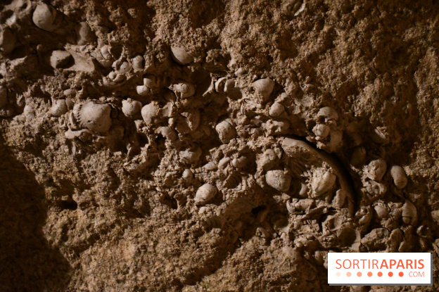 Les caves de Pontoise, visite des souterrains