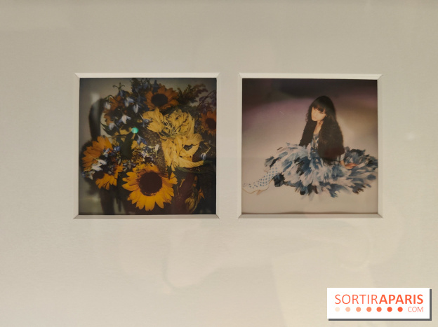 Polaraki, mille polaroids d'Araki Nobuyoshi : l'exposition du musée Guimet se dévoile