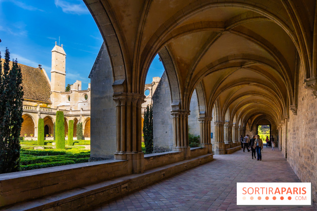 Les spectacles du dimanche de l'Abbaye de Royaumont dans le Val-d'Oise - A7C08374