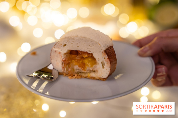 la Bûche de Noêl du Mandarin Oriental Lutetia aux Lumières de Paris - A7C08076