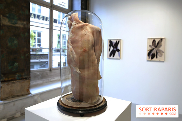 Berlinde De Bruyckere : nos photos de son exposition 'Need' à la Galleria Continua