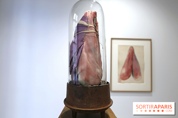 Berlinde De Bruyckere : nos photos de son exposition 'Need' à la Galleria Continua