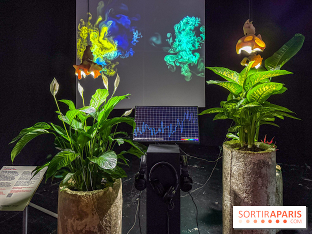 Exposition Les Illusions retrouvées au CENTQUATRE-Paris : les nouvelles utopies de l’ère numérique - IMG 9253