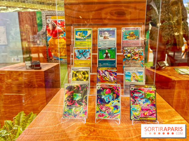 Pop-up Pokémon - IMG 6806