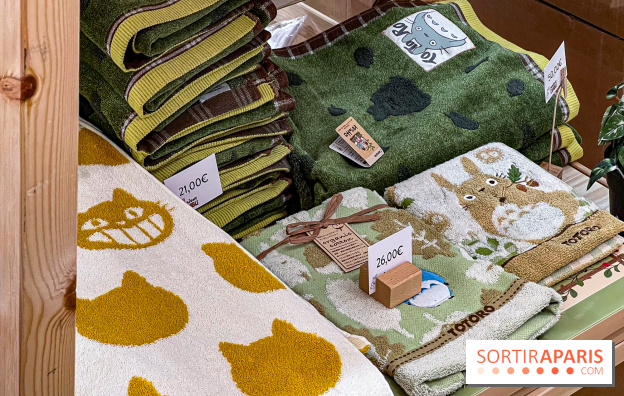 Maison Ghibli : le pop-up store officiel du studio d'animation japonais à Paris - 65D0C4F7 73F5 403A B3B5 69338284C1E0