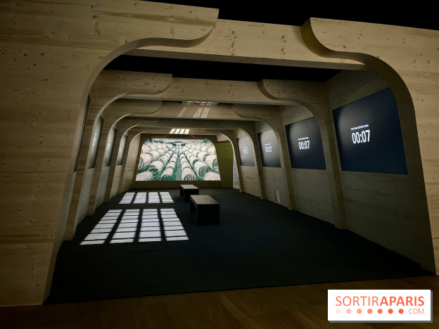 Dans le sillage de Magellan - IMG 6866