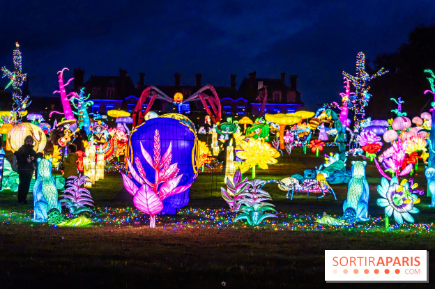 Thoiry Lumières Sauvages 2025 : le Bal des Esprits - A7C09505