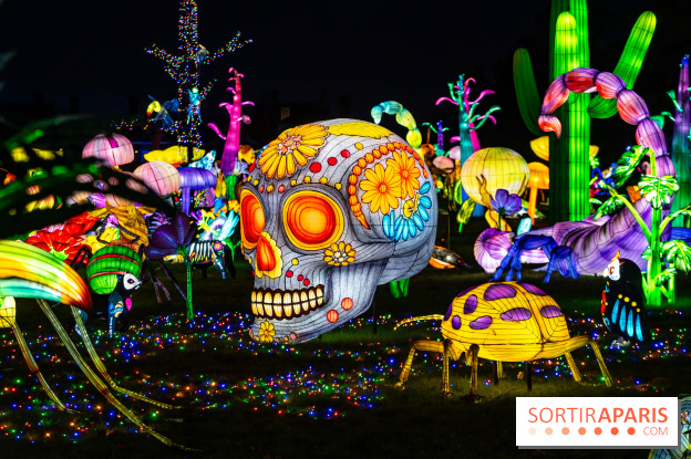 Thoiry Lumières Sauvages 2025 : le Bal des Esprits - A7C09511