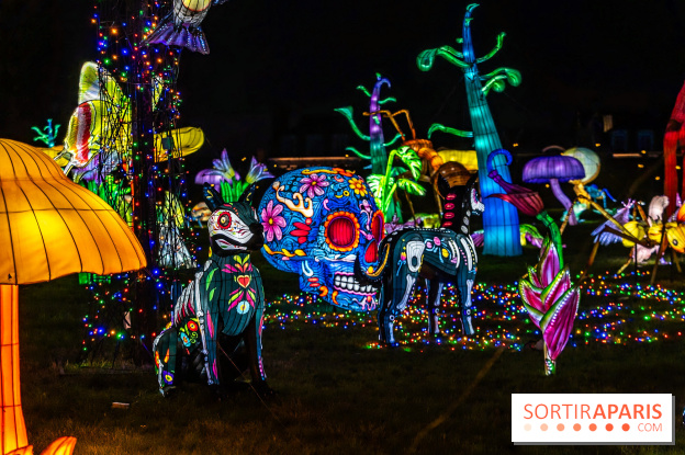 Thoiry Lumières Sauvages 2025 : le Bal des Esprits - A7C09523